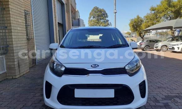 Nunua Ilio tumika Kia Picanto White Gari ndani ya Hlatikulu nchini Wilaya ya Shiselweni Nunua Ilio tumika Kia Picanto White Gari ndani ya Hlatikulu nchini Wilaya ya Shiselweni