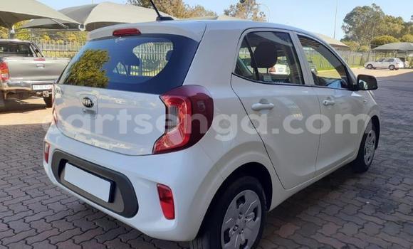 Nunua Ilio tumika Kia Picanto White Gari ndani ya Hlatikulu nchini Wilaya ya Shiselweni Nunua Ilio tumika Kia Picanto White Gari ndani ya Hlatikulu nchini Wilaya ya Shiselweni