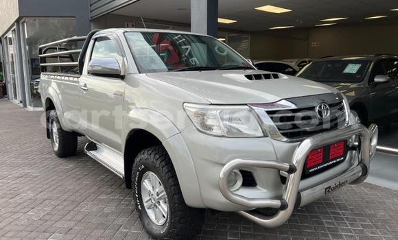 Acheter Occasion Voiture Toyota Hilux Gris à Ezulwini, Hhohho