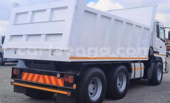 Acheter Occasion Utilitaire Nissan UD Blanc à Big Bend, Lubombo District Acheter Occasion Utilitaire Nissan UD Blanc à Big Bend, Lubombo District