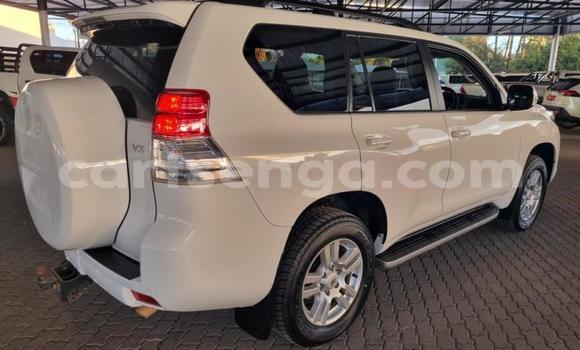Buy Used Toyota Land Cruiser Prado White Car in Ezulwini in Hhohho Buy Used Toyota Land Cruiser Prado White Car in Ezulwini in Hhohho