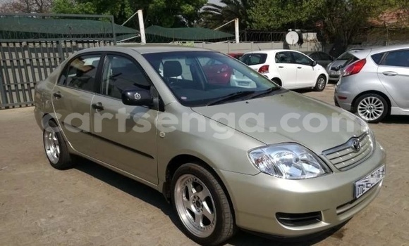 Acheter Occasion Voiture Toyota Corolla Gris à Ezulwini, Hhohho Acheter Occasion Voiture Toyota Corolla Gris à Ezulwini, Hhohho
