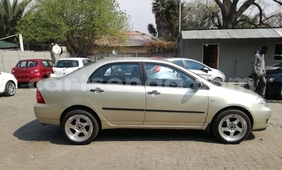 Acheter Occasion Voiture Toyota Corolla Gris à Ezulwini, Hhohho Acheter Occasion Voiture Toyota Corolla Gris à Ezulwini, Hhohho