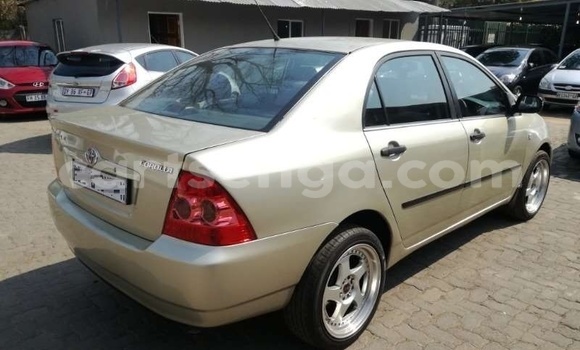 Acheter Occasion Voiture Toyota Corolla Gris à Ezulwini, Hhohho Acheter Occasion Voiture Toyota Corolla Gris à Ezulwini, Hhohho