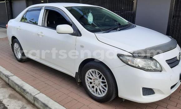 Buy Used Toyota Corolla White Car in Hlatikulu in Shiselweni District Buy Used Toyota Corolla White Car in Hlatikulu in Shiselweni District