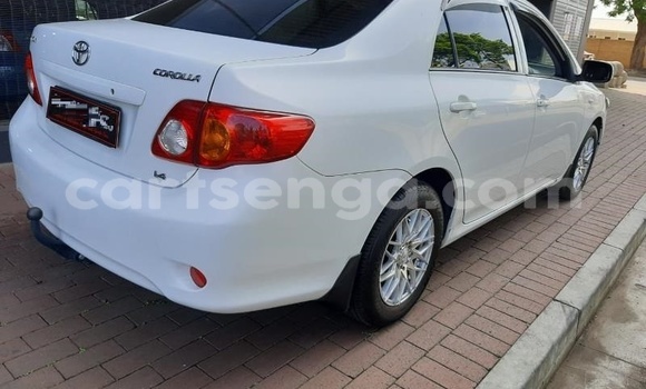 Buy Used Toyota Corolla White Car in Hlatikulu in Shiselweni District Buy Used Toyota Corolla White Car in Hlatikulu in Shiselweni District