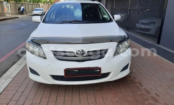 Buy Used Toyota Corolla White Car in Hlatikulu in Shiselweni District Buy Used Toyota Corolla White Car in Hlatikulu in Shiselweni District