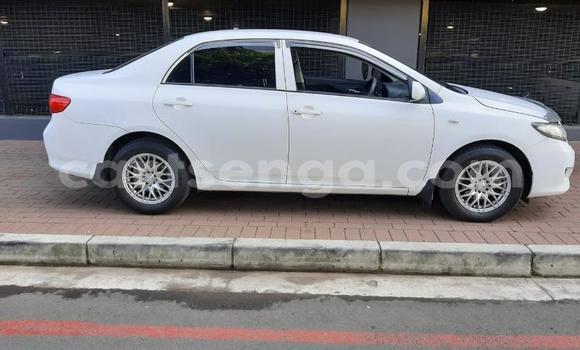 Buy Used Toyota Corolla White Car in Hlatikulu in Shiselweni District Buy Used Toyota Corolla White Car in Hlatikulu in Shiselweni District