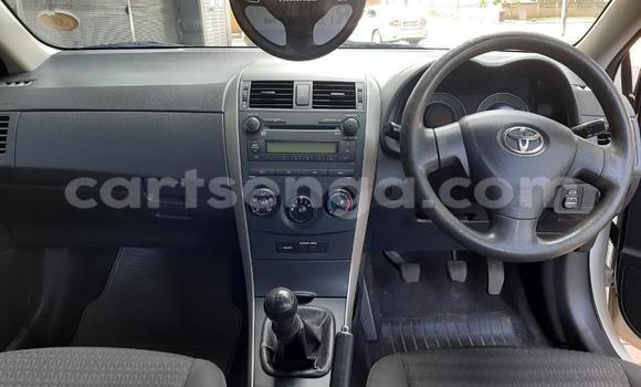 Buy Used Toyota Corolla White Car in Hlatikulu in Shiselweni District Buy Used Toyota Corolla White Car in Hlatikulu in Shiselweni District