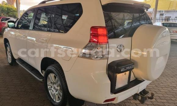 Buy Used Toyota Land Cruiser Prado White Car in Ezulwini in Hhohho Buy Used Toyota Land Cruiser Prado White Car in Ezulwini in Hhohho