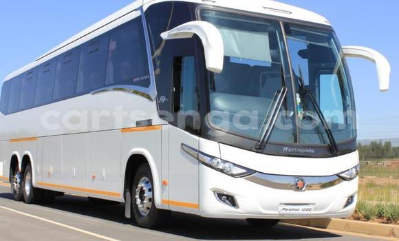 Buy Used Mercedes‒Benz Arocs White Truck in Big Bend in Lubombo District