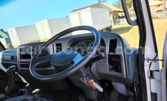 Buy Used Nissan UD White Truck in Big Bend in Lubombo District Buy Used Nissan UD White Truck in Big Bend in Lubombo District
