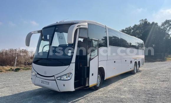 Buy Used Iveco Cargo White Truck in Big Bend in Lubombo District