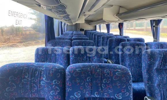 Acheter Occasion Utilitaire Iveco Cargo Blanc à Big Bend, Lubombo District Acheter Occasion Utilitaire Iveco Cargo Blanc à Big Bend, Lubombo District