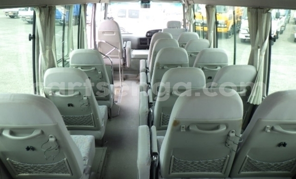 Acheter Occasion Voiture Toyota Coaster Autre à Big Bend, Lubombo District Acheter Occasion Voiture Toyota Coaster Autre à Big Bend, Lubombo District