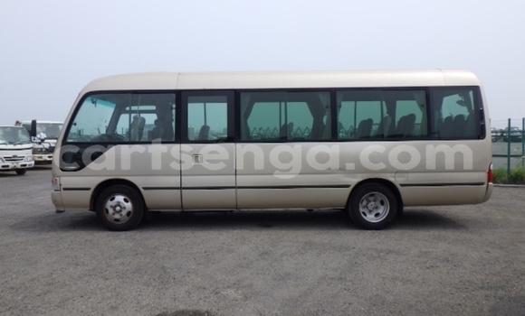 Acheter Occasion Voiture Toyota Coaster Autre à Big Bend, Lubombo District Acheter Occasion Voiture Toyota Coaster Autre à Big Bend, Lubombo District
