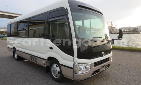 Nunua Ilio tumika Toyota Coaster Other Gari ndani ya Big Bend nchini Wilaya ya Lubombo Nunua Ilio tumika Toyota Coaster Other Gari ndani ya Big Bend nchini Wilaya ya Lubombo