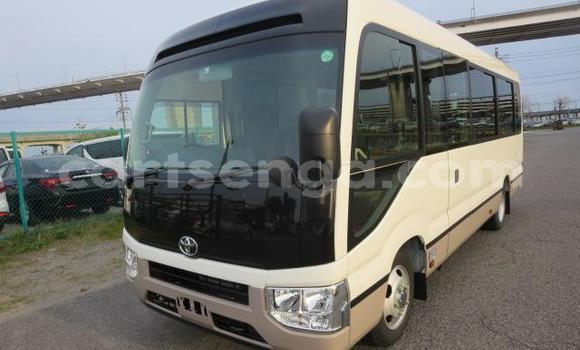 Acheter Occasion Voiture Toyota Coaster Autre à Big Bend, Lubombo District Acheter Occasion Voiture Toyota Coaster Autre à Big Bend, Lubombo District