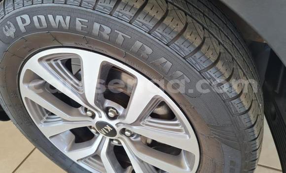 Acheter Occasion Voiture Kia Sportage Blanc à Big Bend, Lubombo District Acheter Occasion Voiture Kia Sportage Blanc à Big Bend, Lubombo District