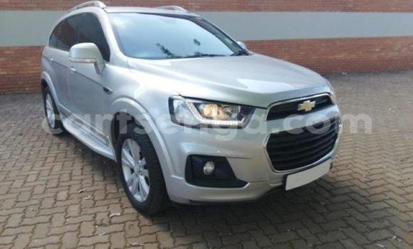 Buy Used Chevrolet Captiva Silver Car in Big Bend in Lubombo District Buy Used Chevrolet Captiva Silver Car in Big Bend in Lubombo District