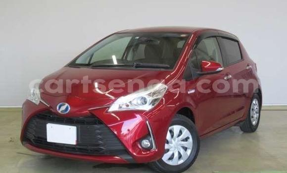 Acheter Occasion Voiture Toyota Vitz Rouge à Ezulwini, Hhohho