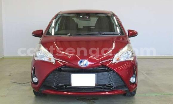 Buy Used Toyota Vitz Red Car in Ezulwini in Hhohho Buy Used Toyota Vitz Red Car in Ezulwini in Hhohho