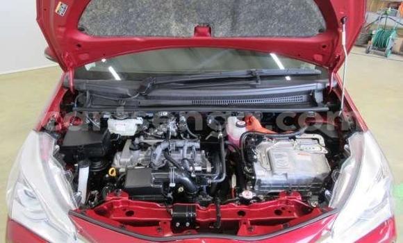 Buy Used Toyota Vitz Red Car in Ezulwini in Hhohho Buy Used Toyota Vitz Red Car in Ezulwini in Hhohho