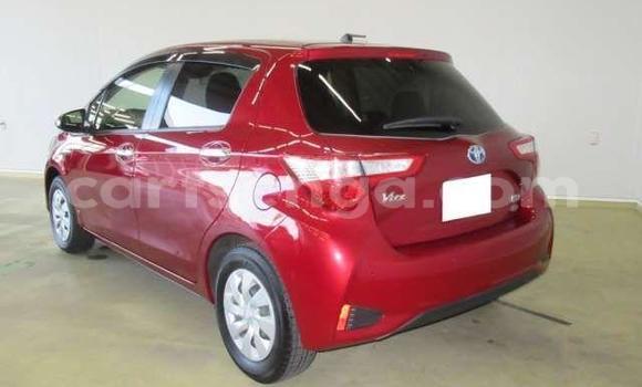 Buy Used Toyota Vitz Red Car in Ezulwini in Hhohho Buy Used Toyota Vitz Red Car in Ezulwini in Hhohho