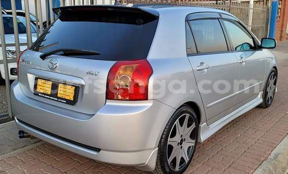 Acheter Occasion Voiture Toyota Runx Gris à Ngwenya, Hhohho Acheter Occasion Voiture Toyota Runx Gris à Ngwenya, Hhohho