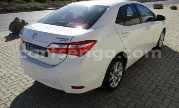 Nunua Ilio tumika Toyota Corolla White Gari ndani ya Bhunya nchini Manzini Nunua Ilio tumika Toyota Corolla White Gari ndani ya Bhunya nchini Manzini
