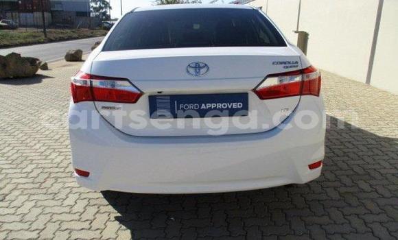 Nunua Ilio tumika Toyota Corolla White Gari ndani ya Bhunya nchini Manzini Nunua Ilio tumika Toyota Corolla White Gari ndani ya Bhunya nchini Manzini