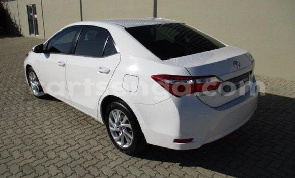 Nunua Ilio tumika Toyota Corolla White Gari ndani ya Bhunya nchini Manzini Nunua Ilio tumika Toyota Corolla White Gari ndani ya Bhunya nchini Manzini