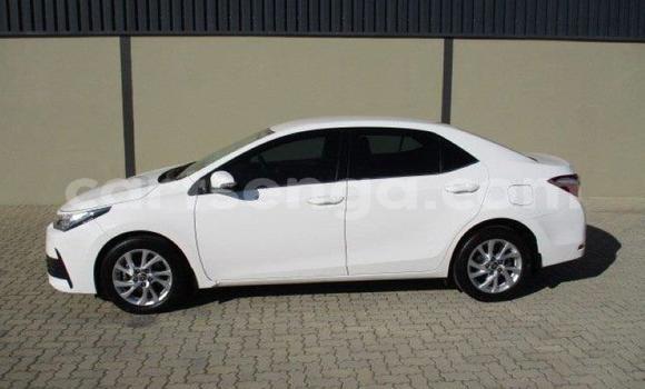 Nunua Ilio tumika Toyota Corolla White Gari ndani ya Bhunya nchini Manzini Nunua Ilio tumika Toyota Corolla White Gari ndani ya Bhunya nchini Manzini