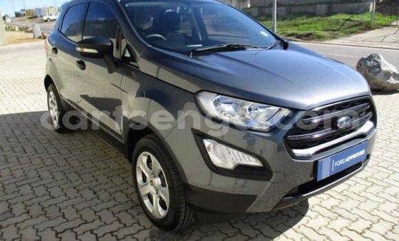 Acheter Occasion Voiture Ford EcoSport Marron à Bhunya, Manzini