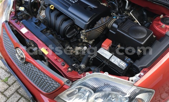 Buy Used Toyota Runx Red Car in Manzini in Manzini Buy Used Toyota Runx Red Car in Manzini in Manzini