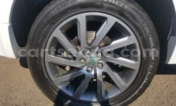 Buy Used Land Rover Freelander White Car in Mbabane in Manzini Buy Used Land Rover Freelander White Car in Mbabane in Manzini
