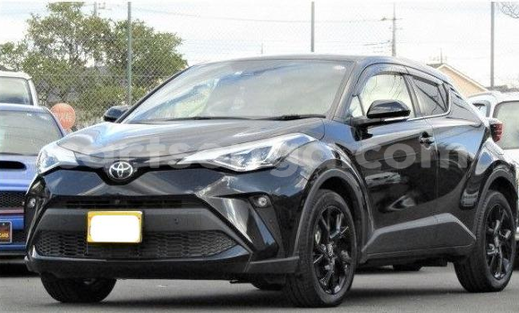 Buy Used Toyota C-HR Black Car in Manzini in Manzini