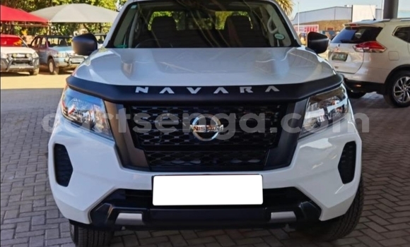 Nunua Ilio tumika Nissan Navara White Gari ndani ya Tabankulu nchini Wilaya ya Lubombo Nunua Ilio tumika Nissan Navara White Gari ndani ya Tabankulu nchini Wilaya ya Lubombo