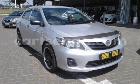 Buy Used Toyota Corolla Silver Car in Mbabane in Manzini Buy Used Toyota Corolla Silver Car in Mbabane in Manzini