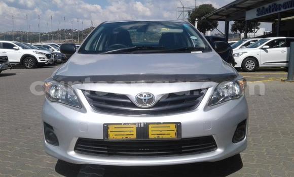 Buy Used Toyota Corolla Silver Car in Mbabane in Manzini Buy Used Toyota Corolla Silver Car in Mbabane in Manzini