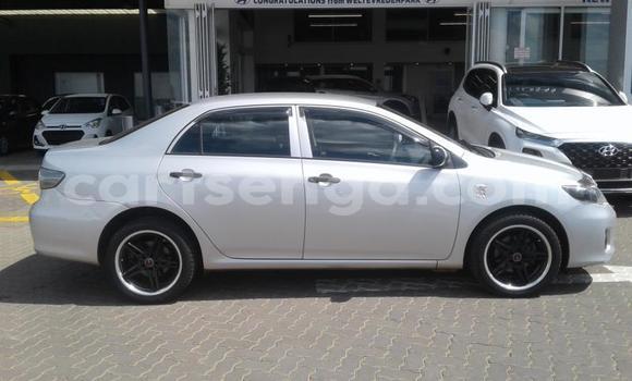 Buy Used Toyota Corolla Silver Car in Mbabane in Manzini Buy Used Toyota Corolla Silver Car in Mbabane in Manzini