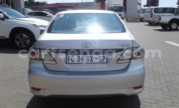 Buy Used Toyota Corolla Silver Car in Mbabane in Manzini Buy Used Toyota Corolla Silver Car in Mbabane in Manzini