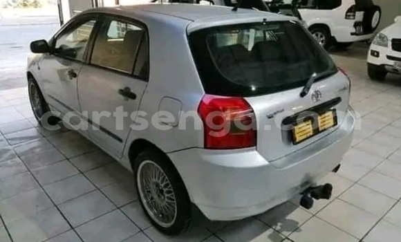 Acheter Occasion Voiture Toyota Runx Gris à Kwaluseni, Manzini Acheter Occasion Voiture Toyota Runx Gris à Kwaluseni, Manzini