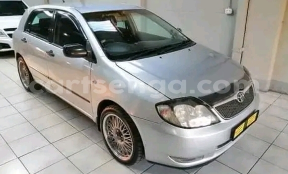 Acheter Occasion Voiture Toyota Runx Gris à Kwaluseni, Manzini Acheter Occasion Voiture Toyota Runx Gris à Kwaluseni, Manzini