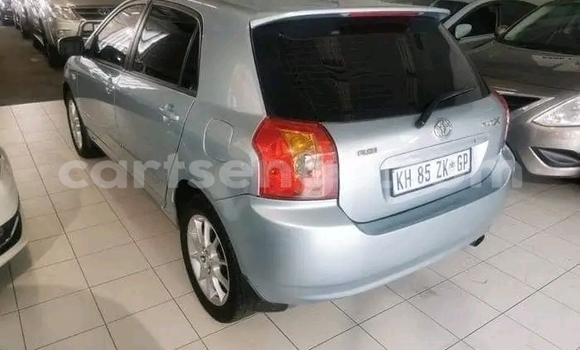 Acheter Occasion Voiture Toyota Runx Gris à Kwaluseni, Manzini Acheter Occasion Voiture Toyota Runx Gris à Kwaluseni, Manzini