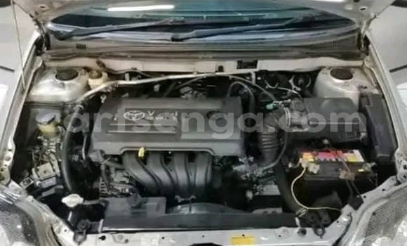 Acheter Occasion Voiture Toyota Runx Gris à Kwaluseni, Manzini Acheter Occasion Voiture Toyota Runx Gris à Kwaluseni, Manzini