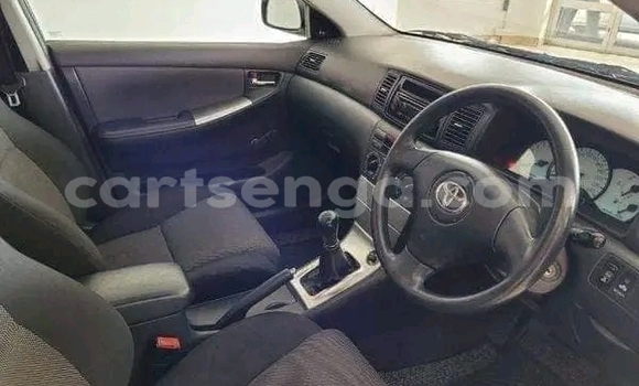 Acheter Occasion Voiture Toyota Runx Gris à Kwaluseni, Manzini Acheter Occasion Voiture Toyota Runx Gris à Kwaluseni, Manzini