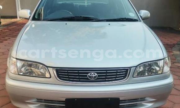 Nunua Ilio tumika Toyota Corolla Silver Gari ndani ya Ezulwini nchini Hhohho Nunua Ilio tumika Toyota Corolla Silver Gari ndani ya Ezulwini nchini Hhohho