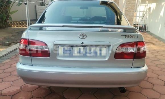 Acheter Occasion Voiture Toyota Corolla Gris à Ezulwini, Hhohho Acheter Occasion Voiture Toyota Corolla Gris à Ezulwini, Hhohho