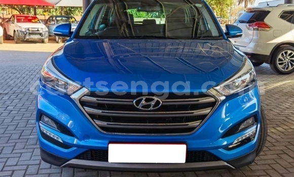 Nunua Ilio tumika Hyundai Tucson Blue Gari ndani ya Bulembu nchini Hhohho